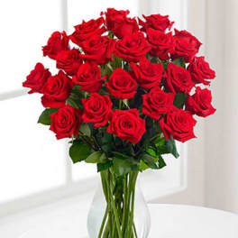Red 24 Long Stem Roses - VASE INCLUDED