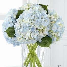 The FTD® Joyful Inspirations™ Bouquet by Vera Wang