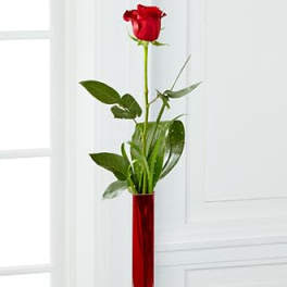 The FTD® Deeply Devoted™ Bouquet