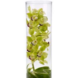 Submerged green orchids in a tall clear glass cylinder vase