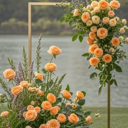 Peach roses arranged around a gold rectangular frame outdoors