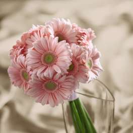 FTD Daisy Delight Bouquet