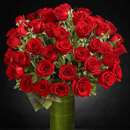 Fate Luxury Rose Bouquet - 48 Stems of 24-inch Premium Long-Stemmed Roses - VASE INCLUDED