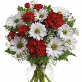 Red carnations and white daisies arranged in a clear glass vase