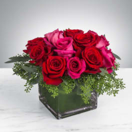 Sparks Fly by BloomNation™