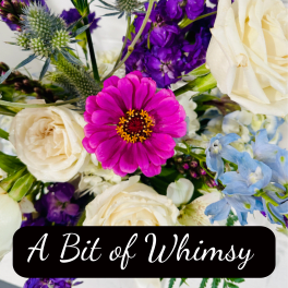 Whimsical designers choice