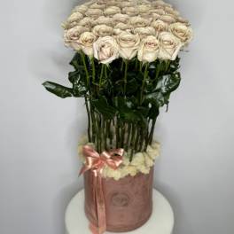 Lovely Nude