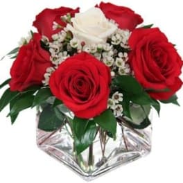 Red and white roses arranged in a clear glass vase