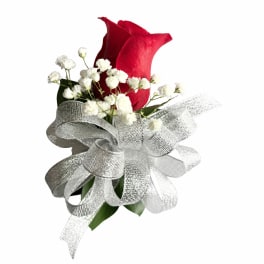 Red calla lily boutonniere with white baby's breath and silver ribbon