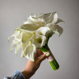 Hand holding a bouquet of white calla lilies