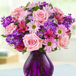 Lavender Dreams