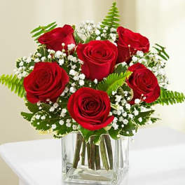 Love's Embrace Roses - SIX RED