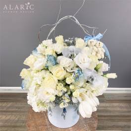 Baby Boy