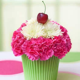 Cupcake in Bloom