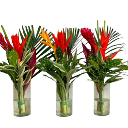 tropical mix