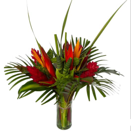 Wild Heliconia