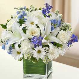 Healing Tears - Blue and White