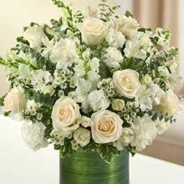 Cherished Memories - All White