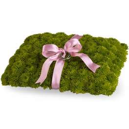 Ringbearer's Pillow