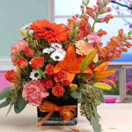 Orange Bliss