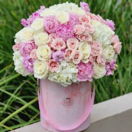 Romantic Surprise