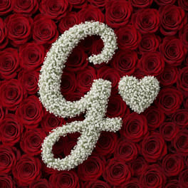 Baby's Breath Letter - G