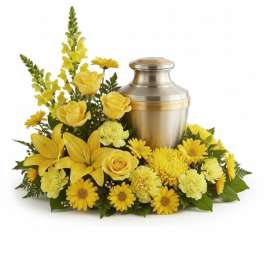Eternal Sunshine Urn Surround