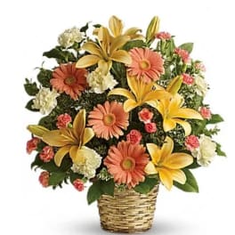 Basket arrangement with peach daisies, yellow lilies, and white carnations
