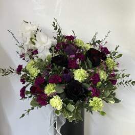 Velvet Blooms
