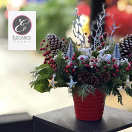 Holiday arrangement in a red pot with pinecones and star ornaments