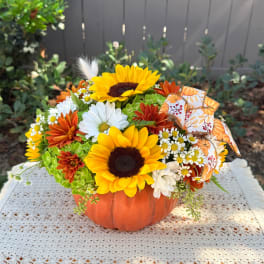 Sunflower and daisy arrangement in a pumpkin-shaped container with autumn ribbon