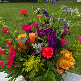 Meadow Elegance