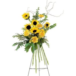TF189-5 Shining Sentiments Spray