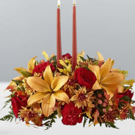 Grateful blooms