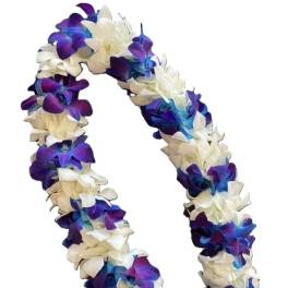 Purple and white flower lei on a white background