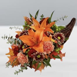 Cornucopia Glow