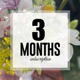 Text overlay reading 3 months subscription over a blurred floral background