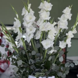 White gladiolus arrangement in a clear glass vase with a white ribbon