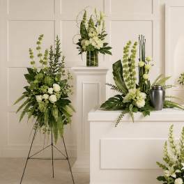 Tranquil Peace Collection