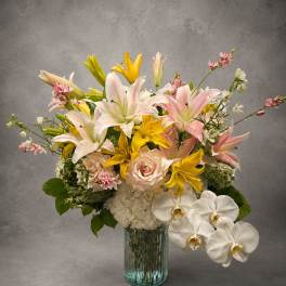 Blushing Lilies