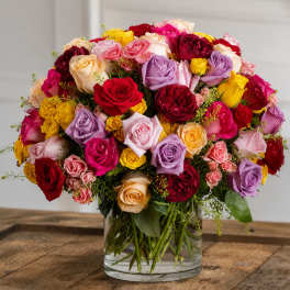 Rose Carnival