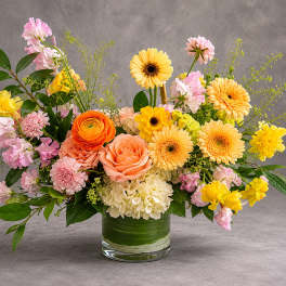 Spring Melody