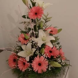 Ger&Lily's
