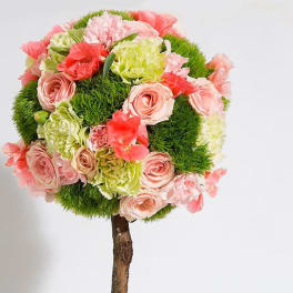 Topiary Zoe