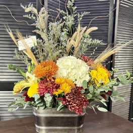 Fall Splendor