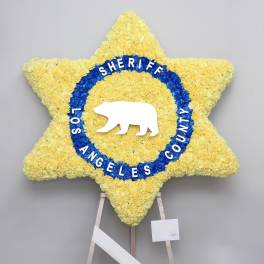 Eternal Star