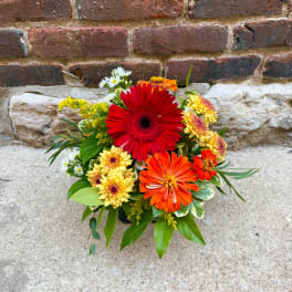 Mixed bouquet with red, orange, and yellow daisies in a vase