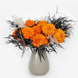 Flor de Muerto