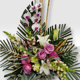 Tropical Mix