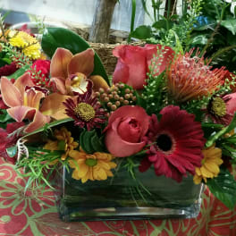 Chocolate and Diamond Centerpiece